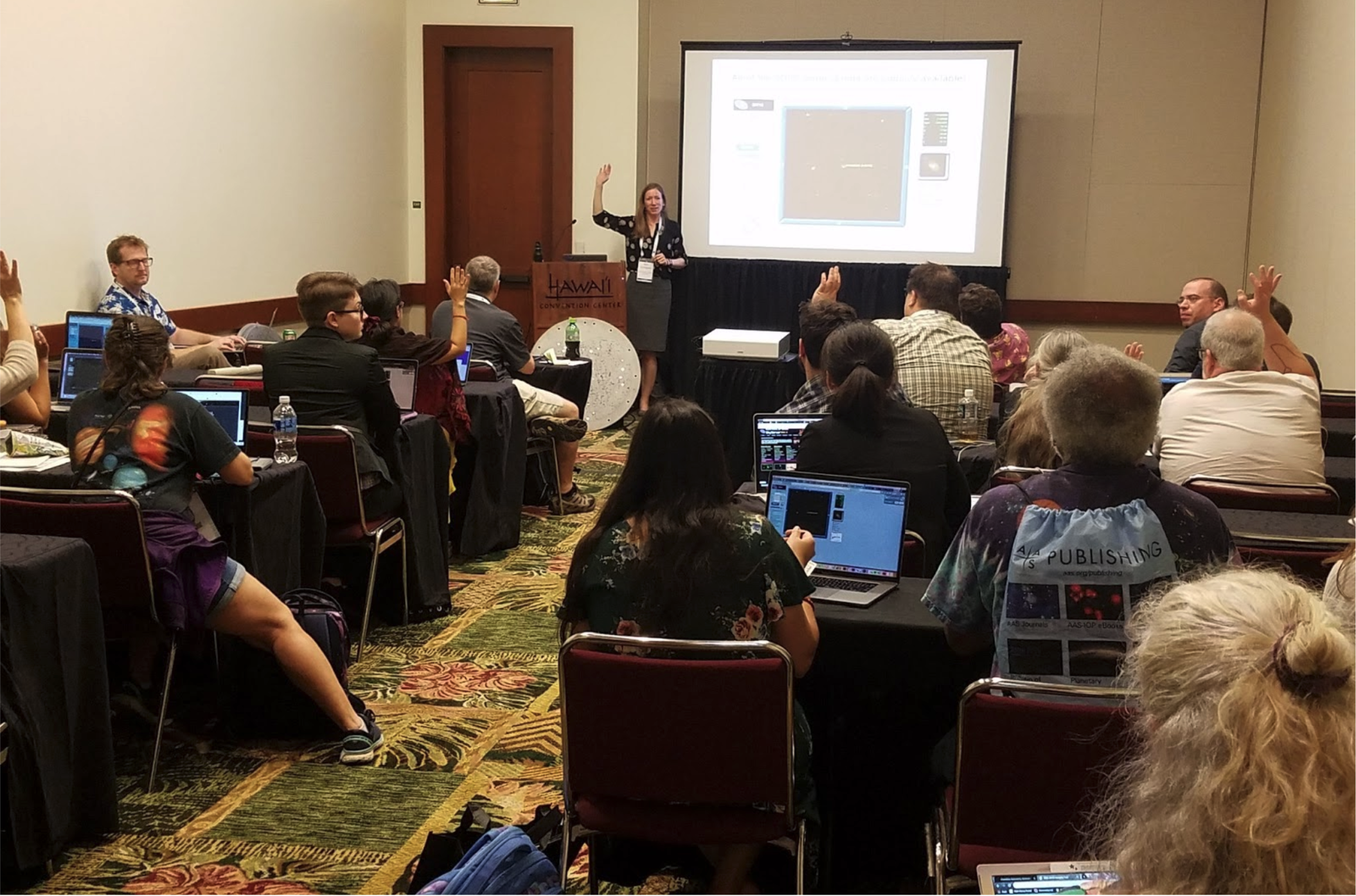 The “SDSS in the Classroom” AAS EPD Workshop in Honolulu, Hawai‘i - 6 January 2020.