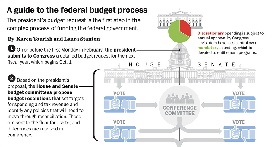 Federal Budget Process Infographic